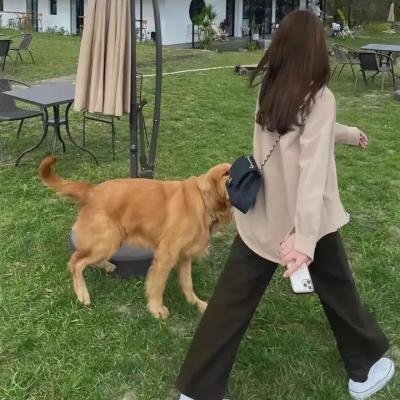 辣手娇娃